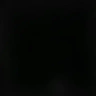 Profile image of 이용복