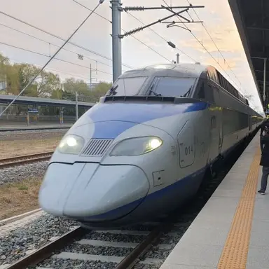 Profile image of 서대구역 KTX 1