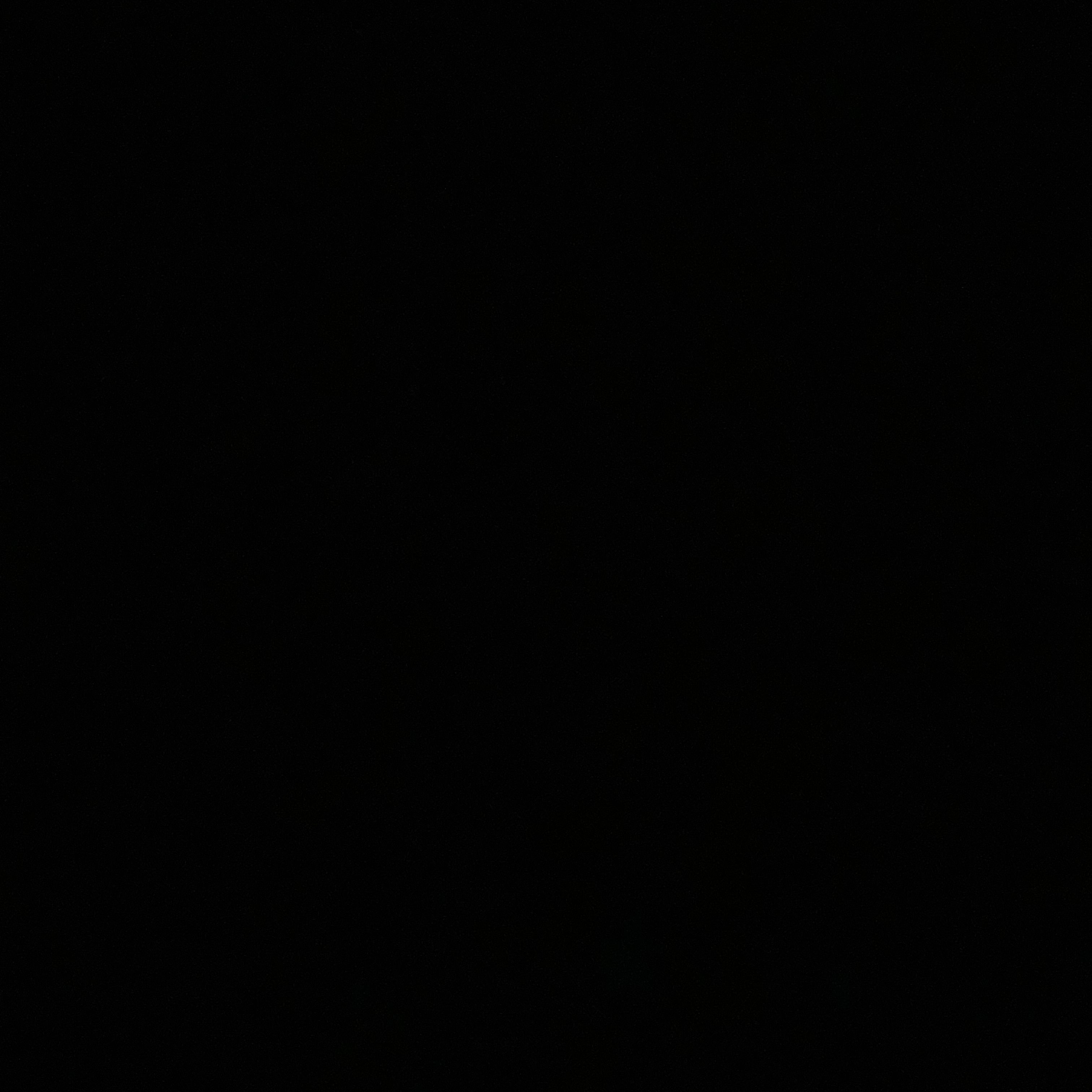 홍팸(3) 대표 이미지