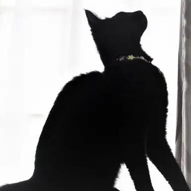 Profile image of リノ