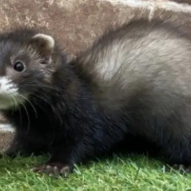 Profile image of ヒョンジニ