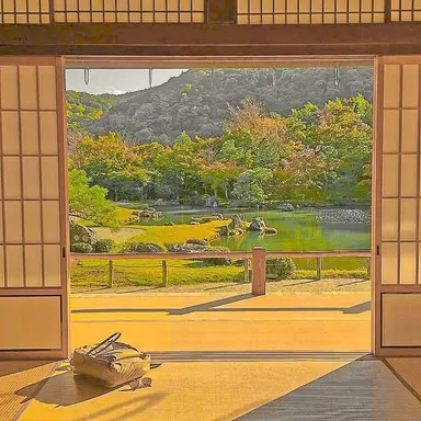 Profile image of 츠키노 준브