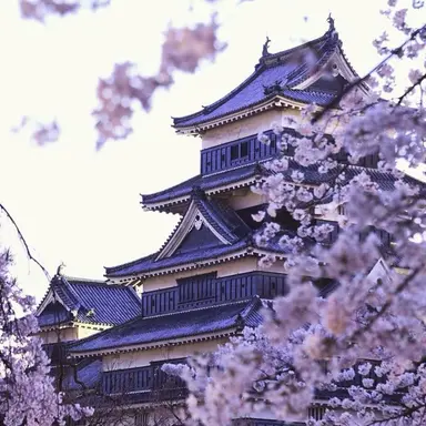 Profile image of 호시노 멜로우