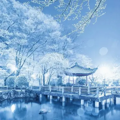 Profile image of 텐노 벨키