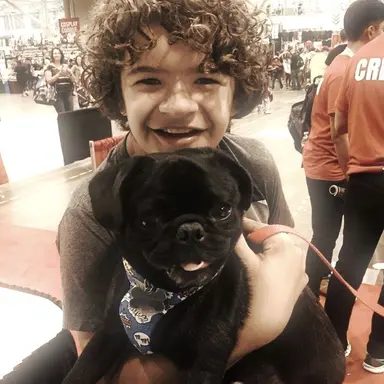 Profile image of Dustin Henderson