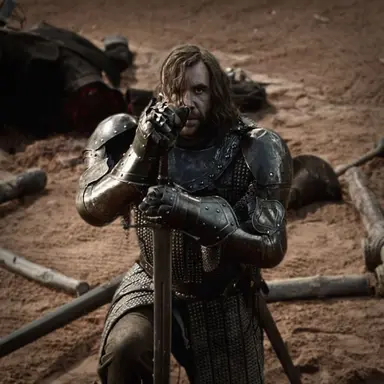 Profile image of Sandor clegane