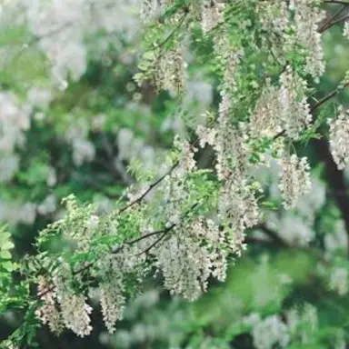 Profile image of 운터