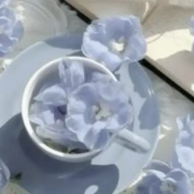 Profile image of 파크모
