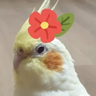 Profile image of 라라