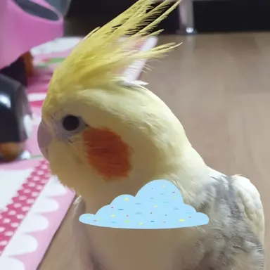 Profile image of 루루