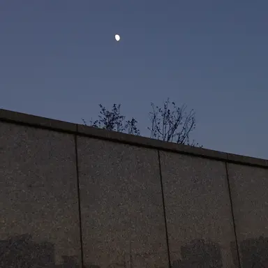 Profile image of 뜰팁