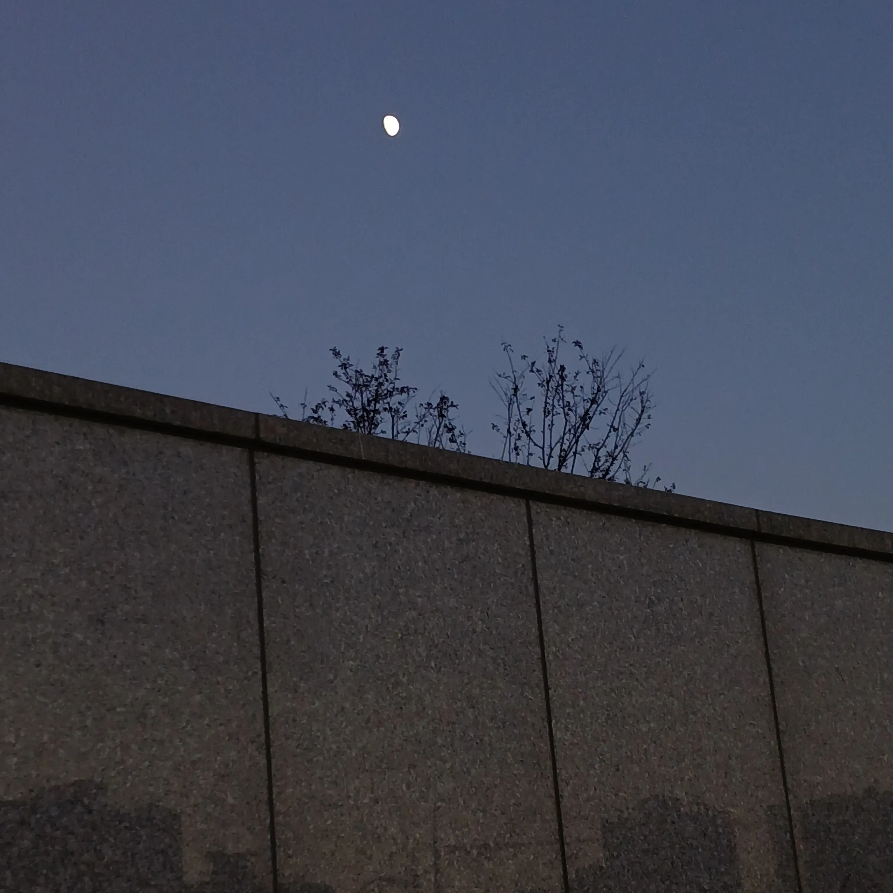 Clowdy의 이종족 학교 (뜰팁)