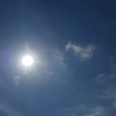 Profile image of 라더