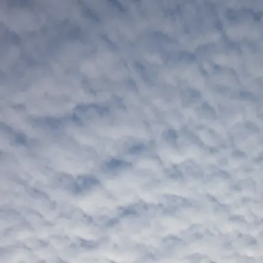 Profile image of 여주