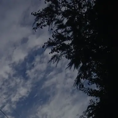 Profile image of 각별