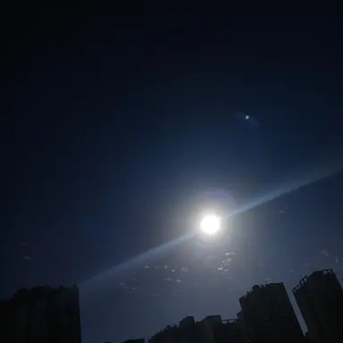 Profile image of 공룡