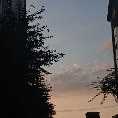 Profile image of 덕개