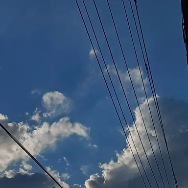 Profile image of 수현