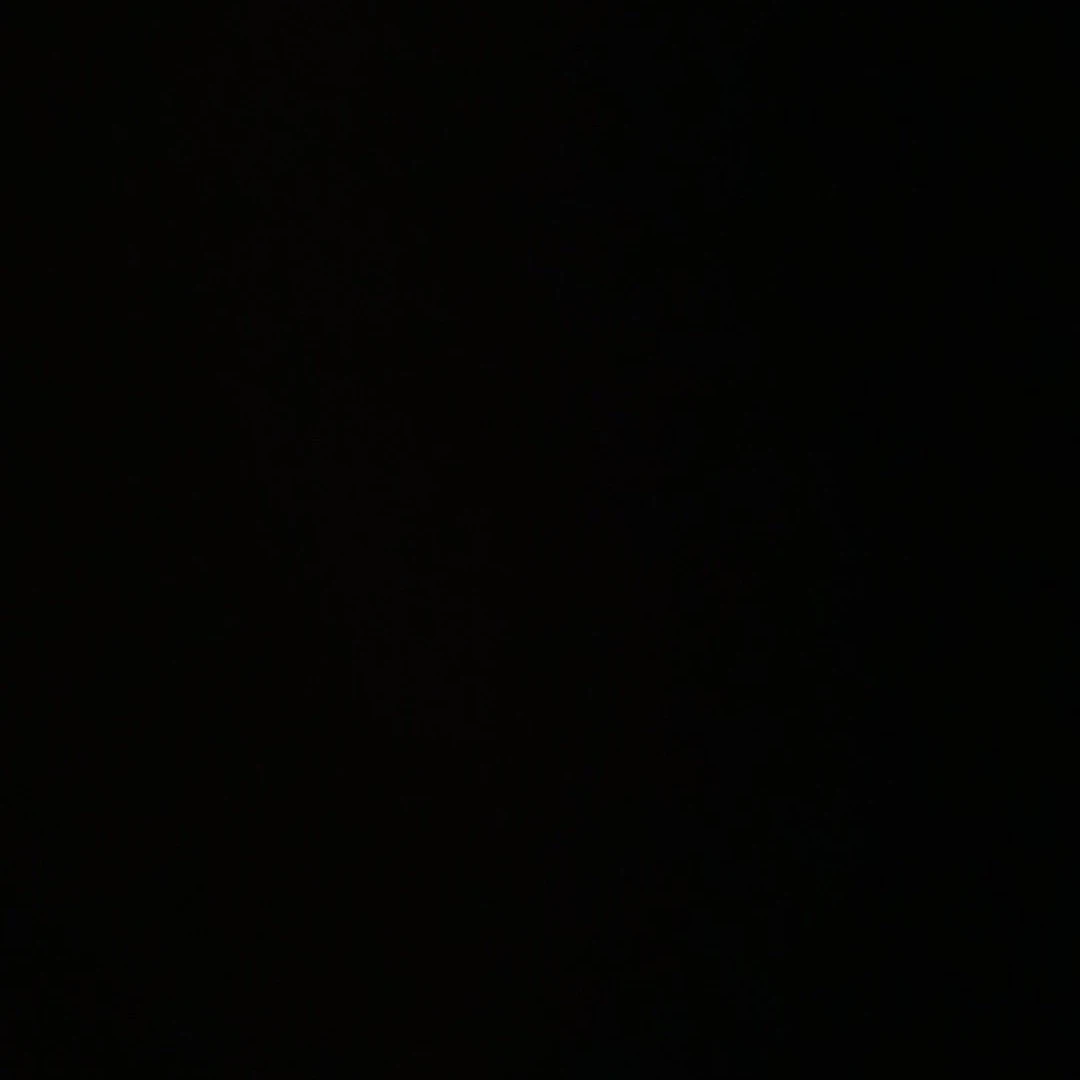 マスタードスプランキ