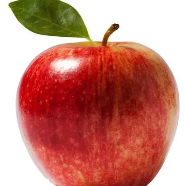Profile image of Still-Life Abbie