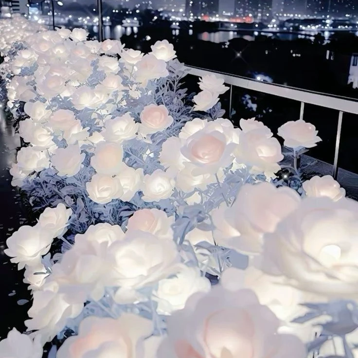 오일