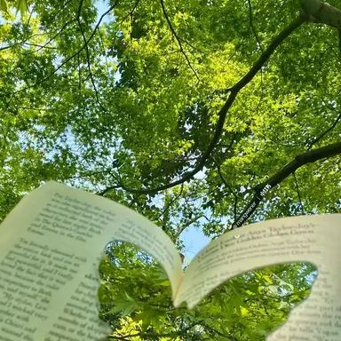 Profile image of 정공룡