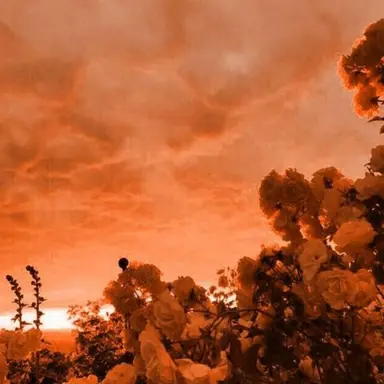 Profile image of 박덕개