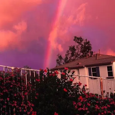 Profile image of 서라더