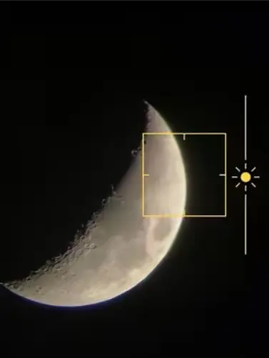 z_reno의 家族から嫌われている  ＿＿  .