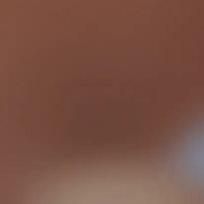 ABCDEFGHIJKLNMOPQRSUTVWXYZ의 라경장납치