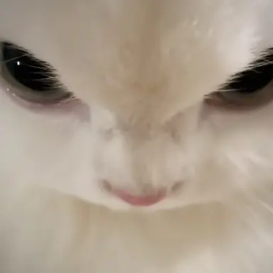 Profile image of 우리 사랑한 유저님