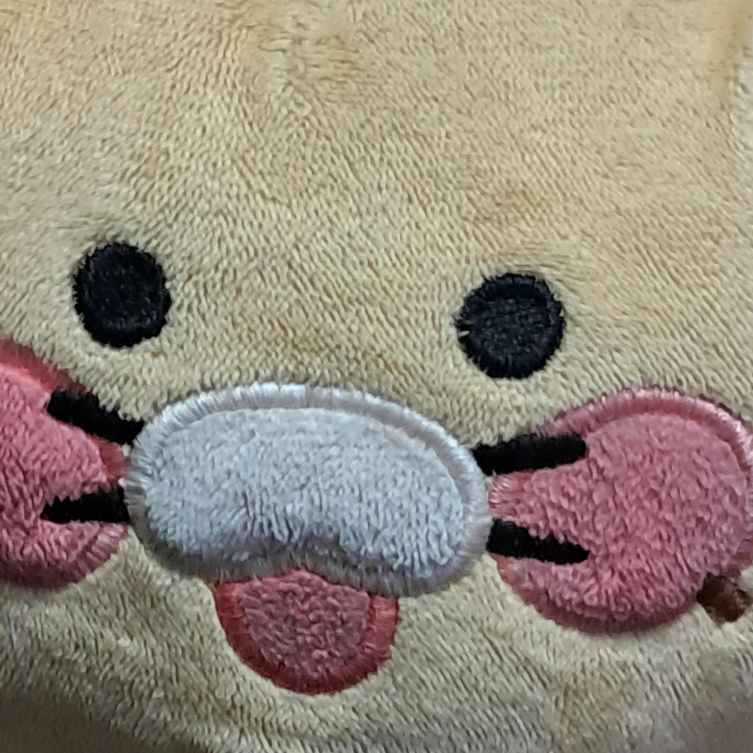 수돌이