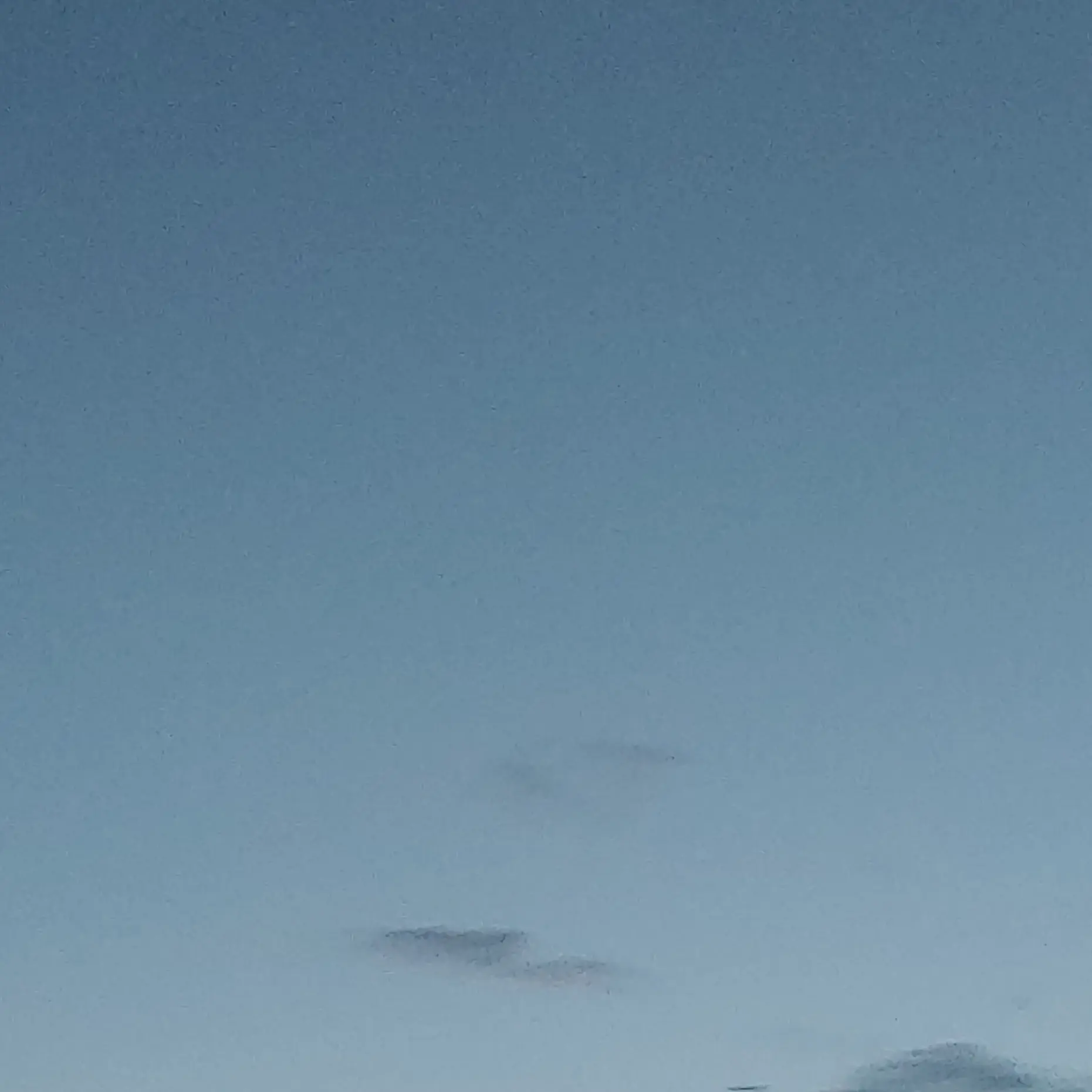 Spanje의 대저택,고프,팀나빠,꽥꽥탐험,늑대