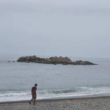 Profile image of 백지헌