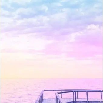 Profile image of ステラ