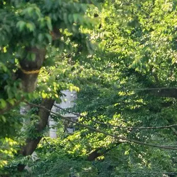 Profile image of 足利直義