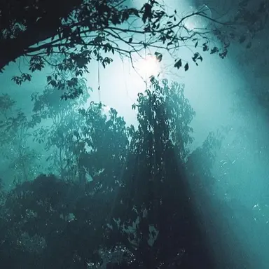 Profile image of 久保舜斗