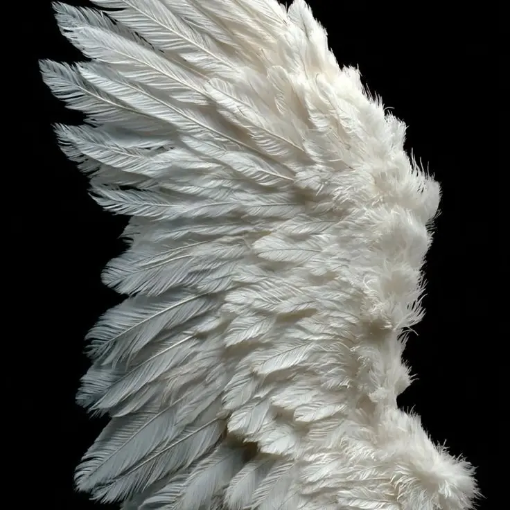 Ghost_1357의 노엘