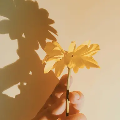 Profile image of 쪼만