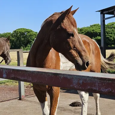 Profile image of 월봉