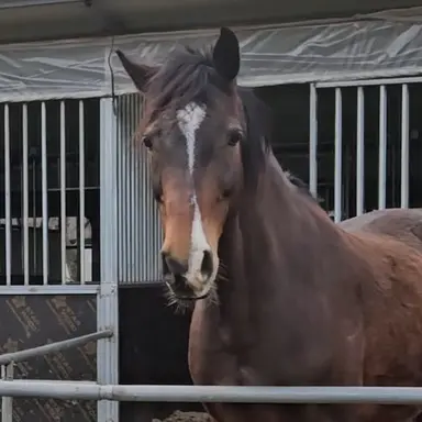 Profile image of 나르