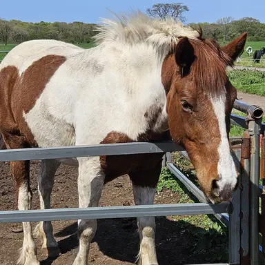 Profile image of 육성