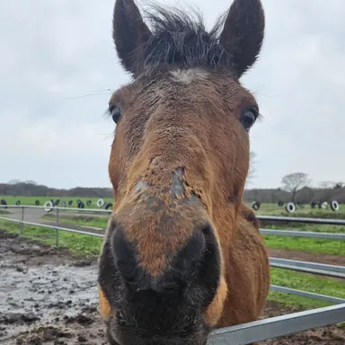 Profile image of 멍해