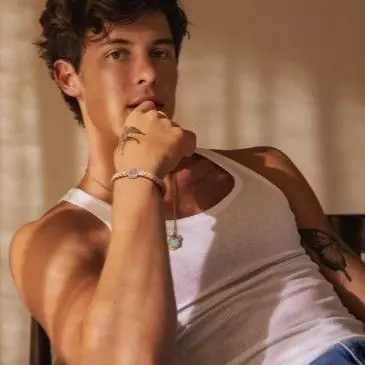 Profile image of Shawn Mendes