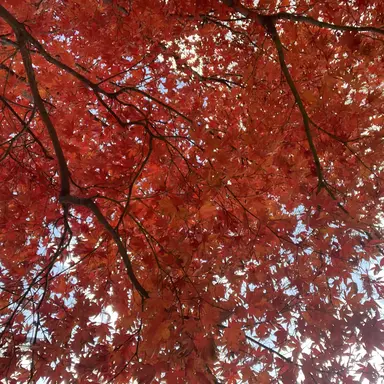 Profile image of 한동믽