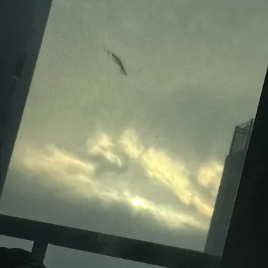 Profile image of 김종석