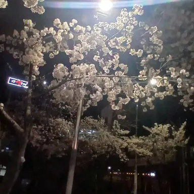 Profile image of 은솔