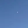 Profile image of 自由