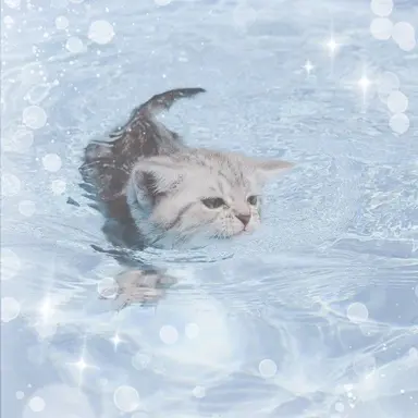 Profile image of 벨키