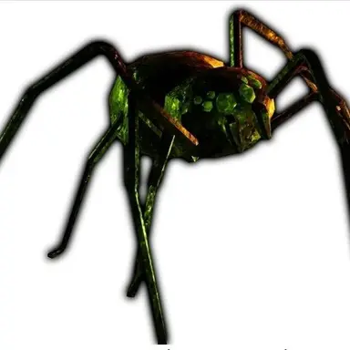 Profile image of 티모시